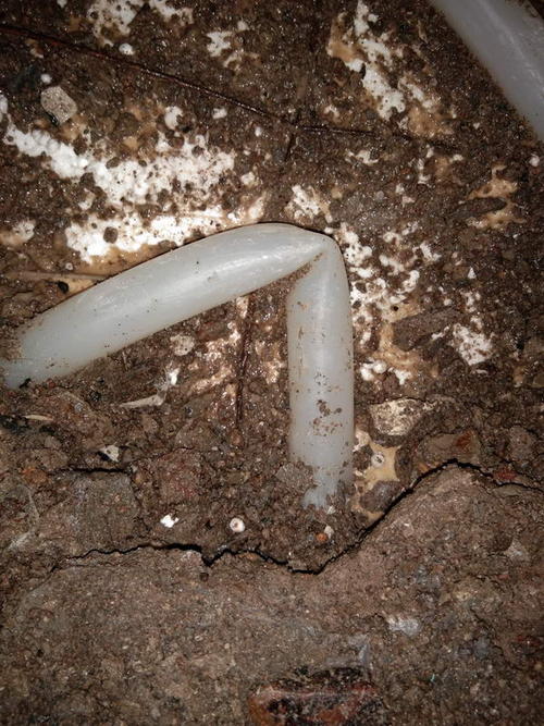 察布查尔堵点精准查找